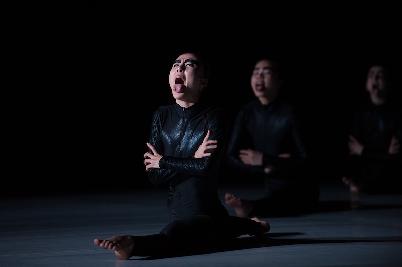 LeeSaar in Grass and Jackals